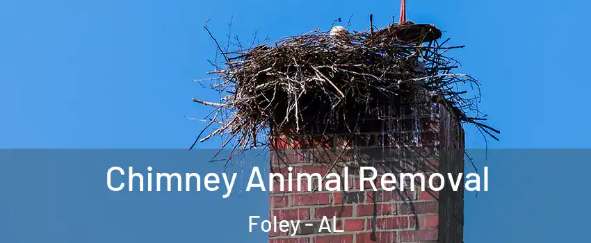 Chimney Animal Removal Foley - AL