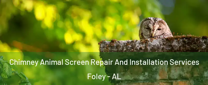  Chimney Animal Screen Repair And Installation Services Foley - AL