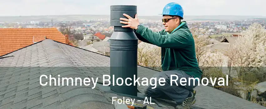  Chimney Blockage Removal Foley - AL