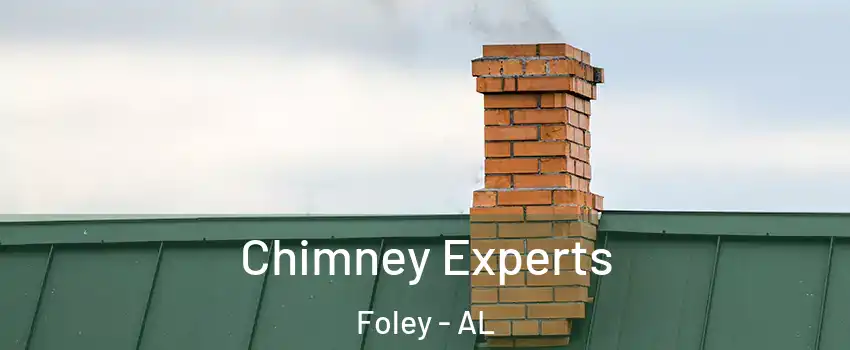 Chimney Experts Foley - AL