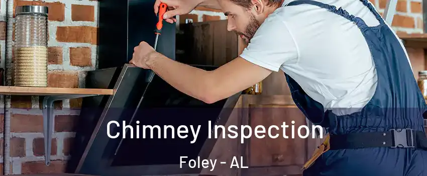  Chimney Inspection Foley - AL
