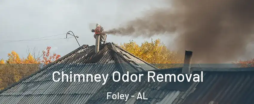  Chimney Odor Removal Foley - AL