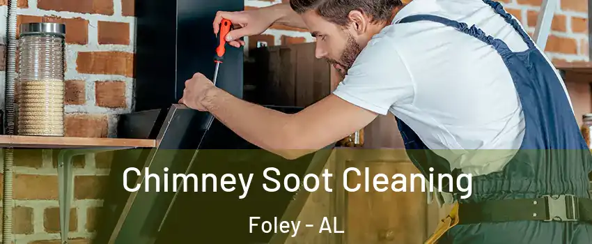  Chimney Soot Cleaning Foley - AL