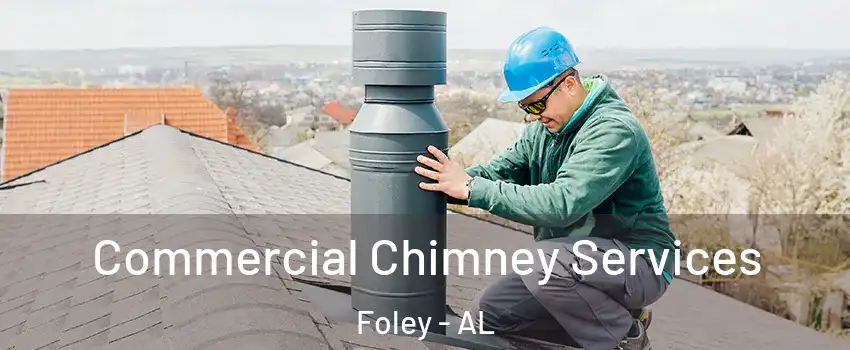  Commercial Chimney Services Foley - AL