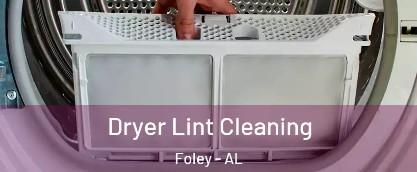  Dryer Lint Cleaning Foley - AL