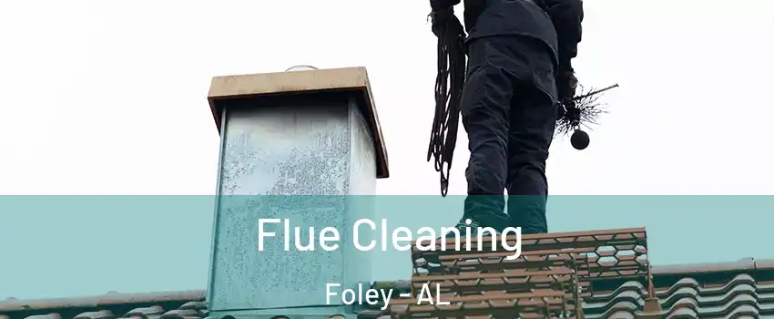  Flue Cleaning Foley - AL