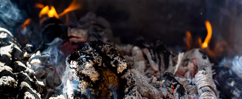 Creosote Removal Experts in Foley, AL