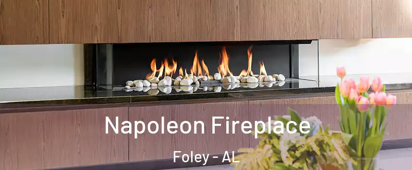  Napoleon Fireplace Foley - AL
