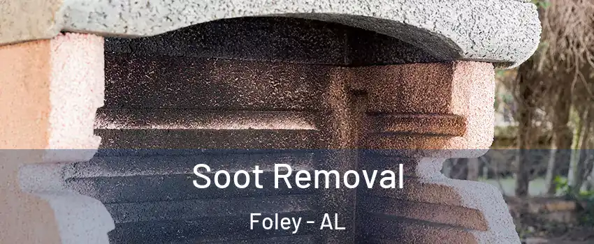  Soot Removal Foley - AL